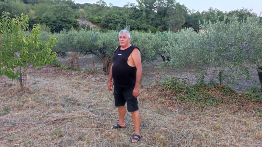 Lopatali po noći?! Iz vinograda braće Eremut ukradena tona stajskog gnojiva