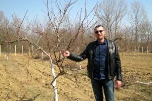 Marjan Manić diplomu učitelja zamenio uzgojem šipurka