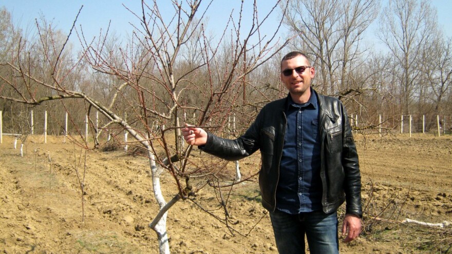 Marjan Manić diplomu učitelja zamenio uzgojem šipurka