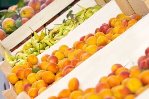 Uskoro Centar za distribuciju voća i povrća u Osijeku