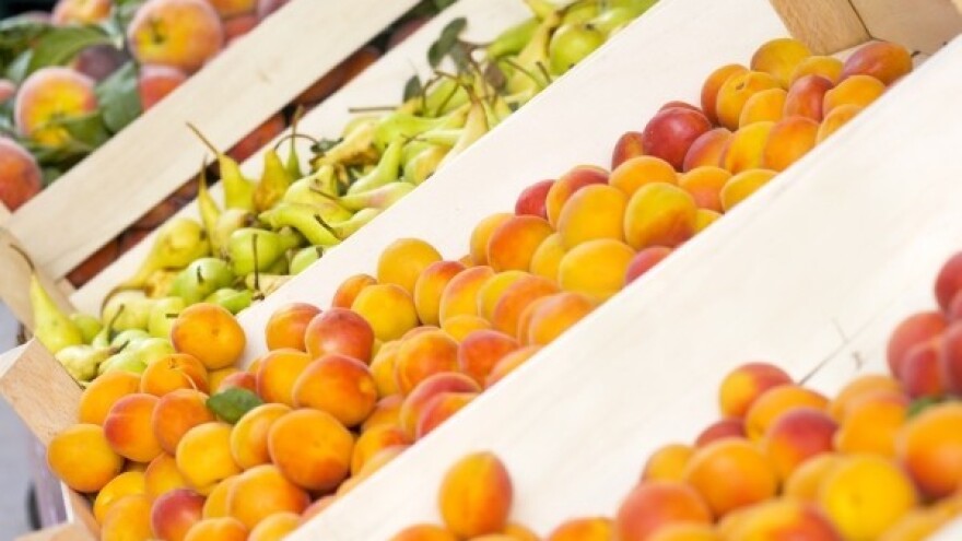 Uskoro Centar za distribuciju voća i povrća u Osijeku