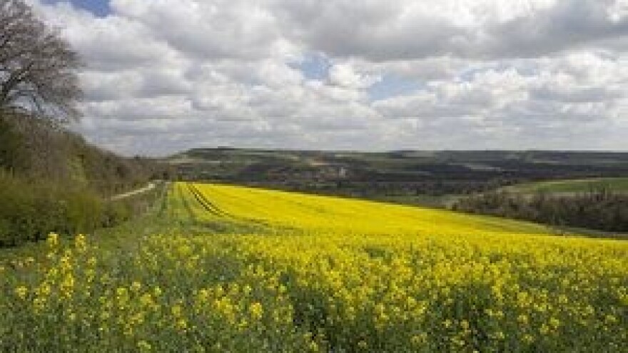 Poljoprivredne novosti sa svjetskih tržišta žitarica