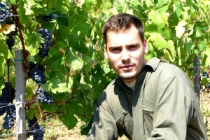Sadnice iz Francuske - vinograd između Višegrada i Užica