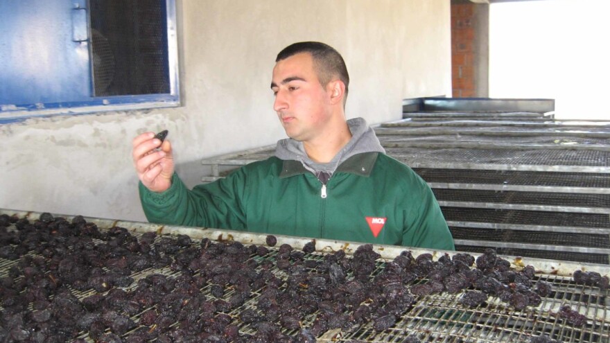 Suve šljive - čista matematika