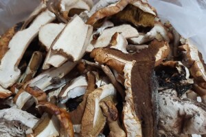 Marinirani ili ajvar sa vrganjima: Kako preraditi ovu gljivu na više načina?
