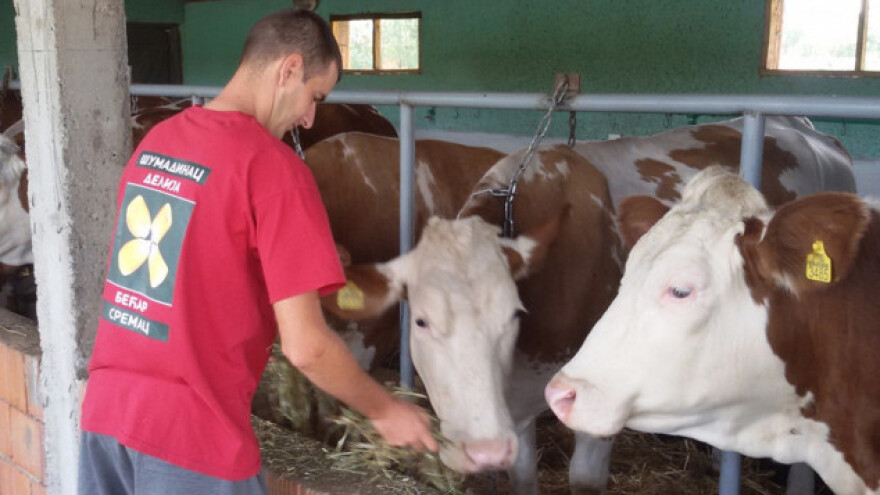 Mlečno govedarstvo na dohrani