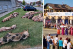 Pokrovac: Ubiju svinje, preko prolivene krvi idu djeca, psi, mačke i to zovu suzbijanje zaraze?