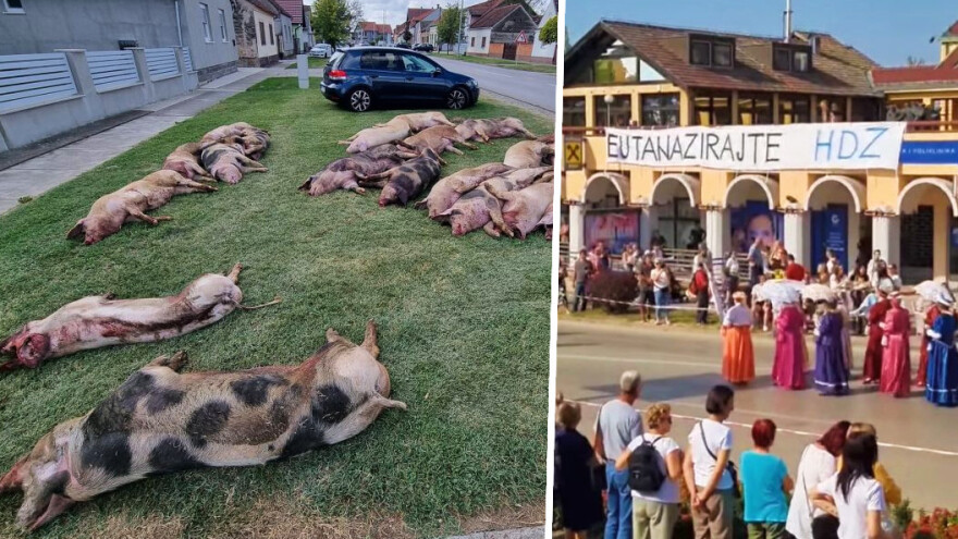 Pokrovac: Ubiju svinje, preko prolivene krvi idu djeca, psi, mačke i to zovu suzbijanje zaraze?