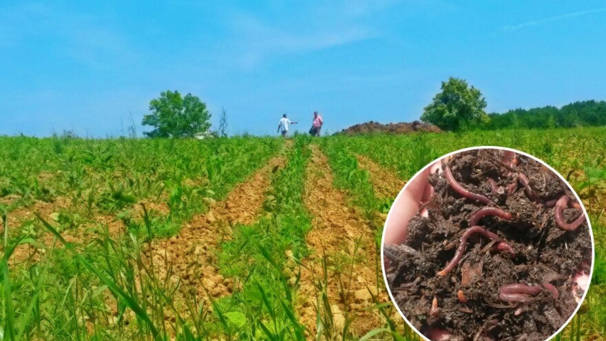 Upoznajte "OPG s najvećim brojem radnika u Hrvatskoj"