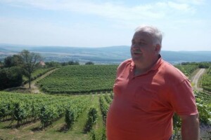 Za vinograde 406 tisuća kuna iz IPARD-a