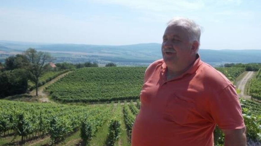 Za vinograde 406 tisuća kuna iz IPARD-a