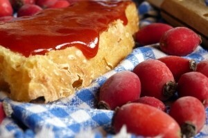 Od 1. srpnja, osim Prošeka, nema više ni marmelade od šipka!