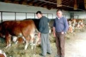 Obmanjuju nas i Vlada i predvodnici prosvjeda