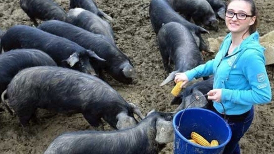 Dodatna potpora za mlade poljoprivrednike!