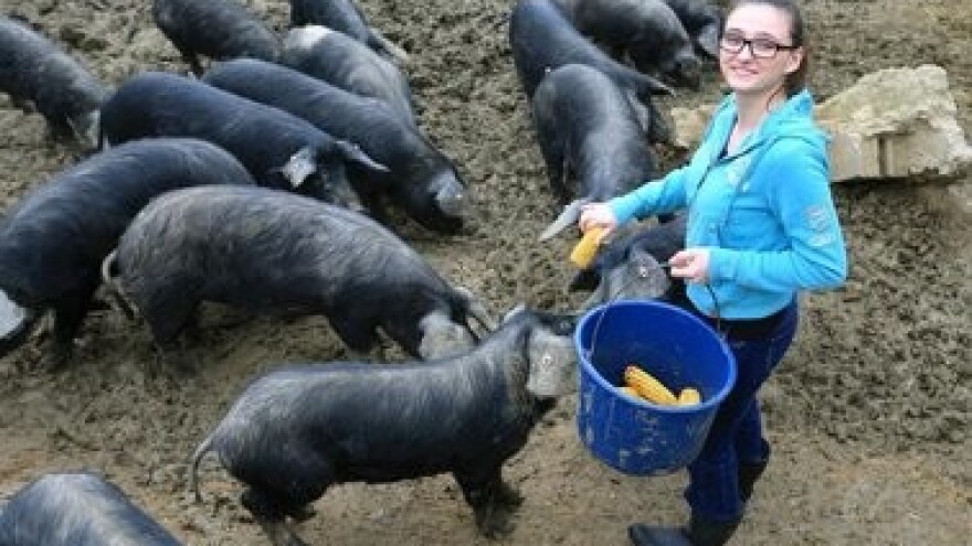 Prijavi se i postani najbolji hrvatski mladi poljoprivrednik!