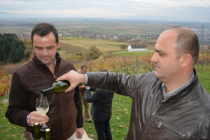 Kutjevo traži od ministra kontrolu vina