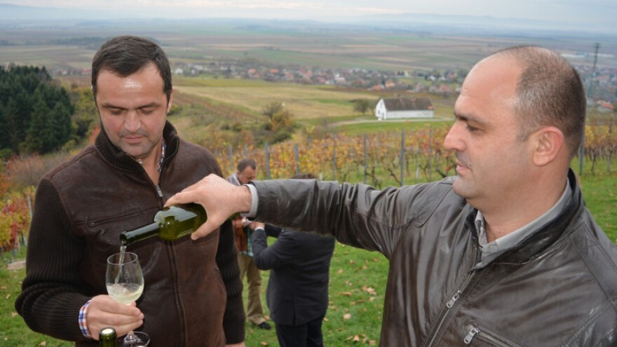 Kutjevo traži od ministra kontrolu vina