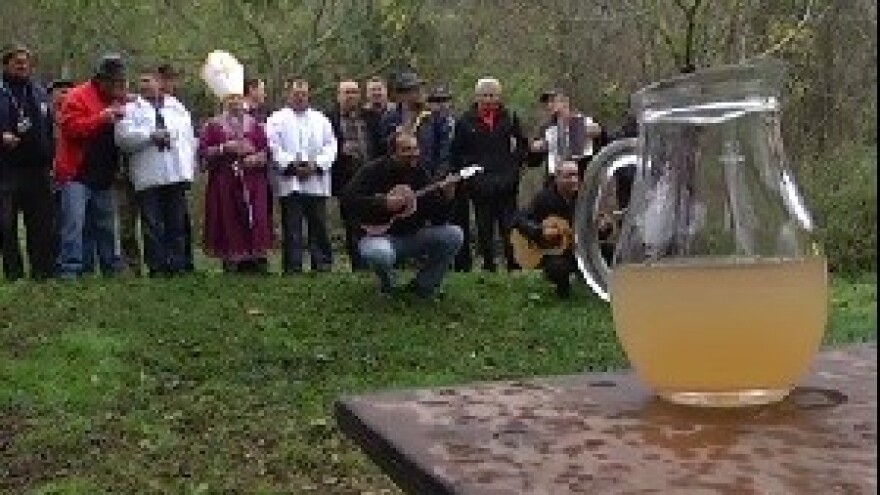 Blagdan Sv. Martina u Popovcu