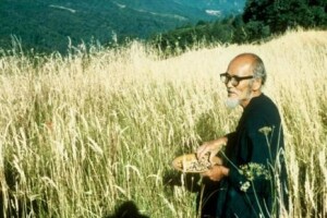 Prirodno poljodjelstvo - manje je više