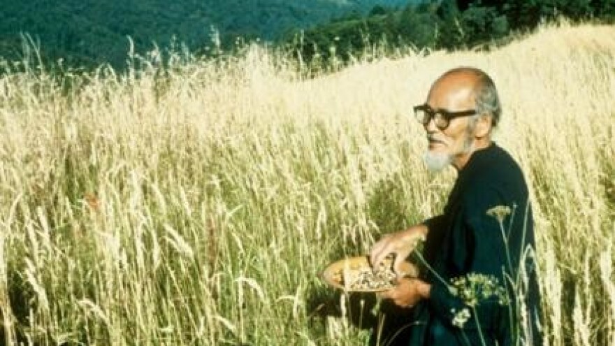 Prirodna poljoprivreda - manje je više
