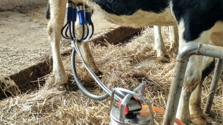 Nezadovoljni proizvođači ispred ministarstva poljoprivrede zahtevaju veće otkupne cene