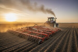 Masivan Satex Germinator detaljno priprema tlo