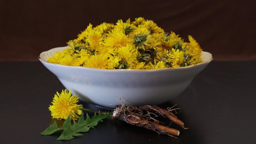 Kako da od bilja iz prirode napravite ukusan obrok