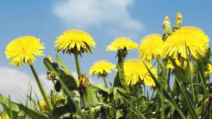 Financijski paket EU-a za poljoprivredu