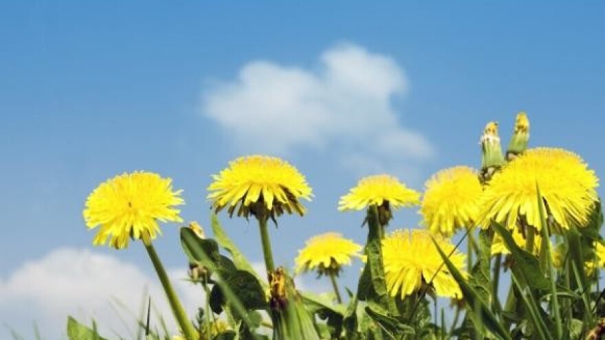 Inovacijom protiv oblaka leda