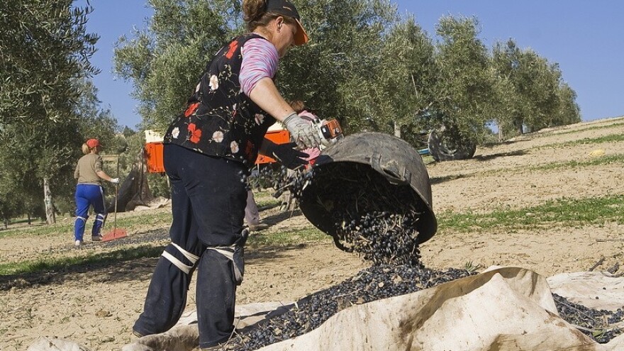 Ne žurite s rezidbom