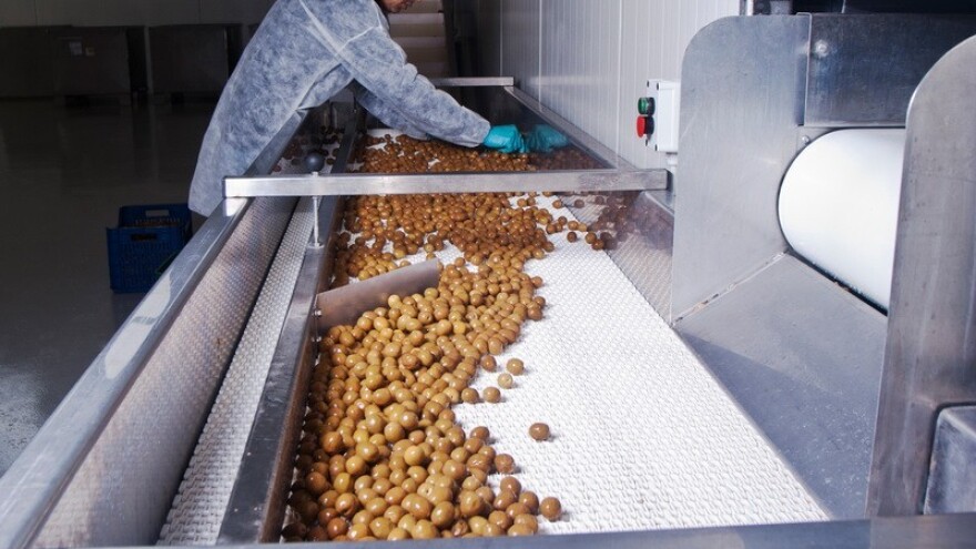 Tekuće zlato bez kojega život ne bi bio tako lijep