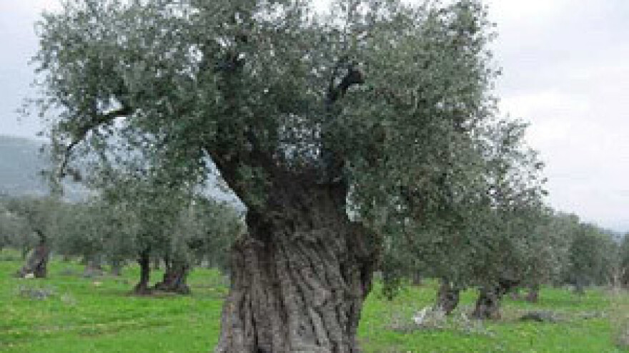 Gosti uživaju u čarima seoskog života