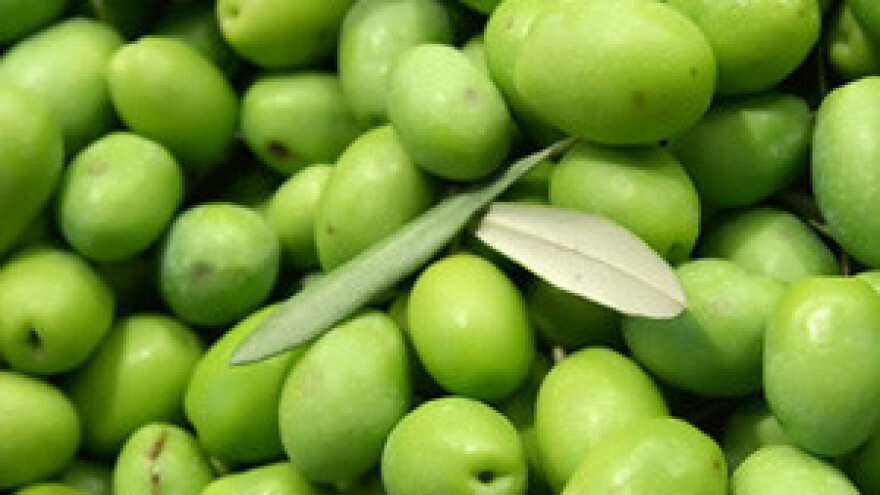 Promocija maslinovog ulja