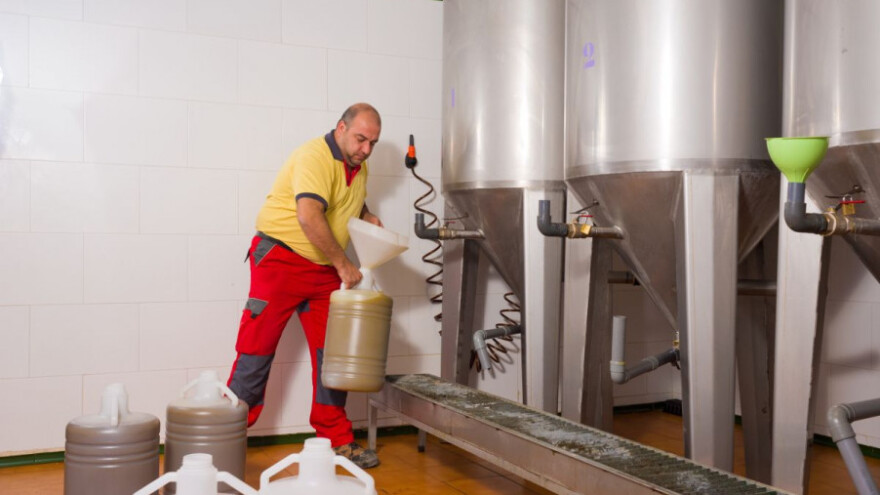 Maslinovo ulje OPG Balija u TOP20 na svijetu!