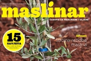Novi Maslinar na svim kioscima