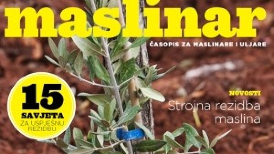 Novi Maslinar na svim kioscima