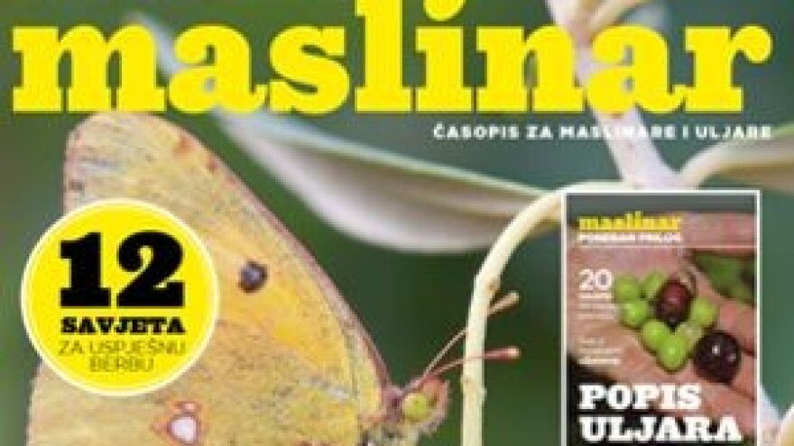 Novi Maslinar na svim kioscima