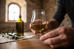 Maslinari naučili praviti ekstra djevičansko ulje