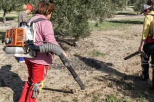 Bračani ukrotili oblicu, nije ni čudo što pobjeđuju