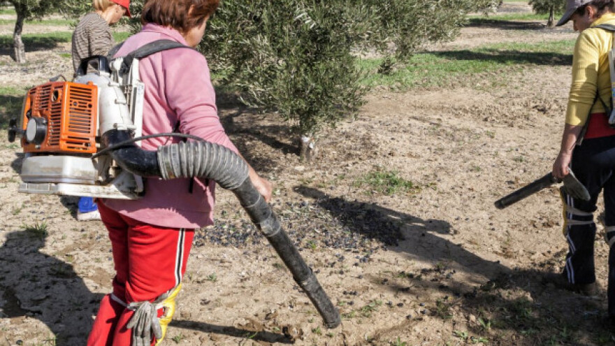 Bračani ukrotili oblicu, nije ni čudo što pobjeđuju