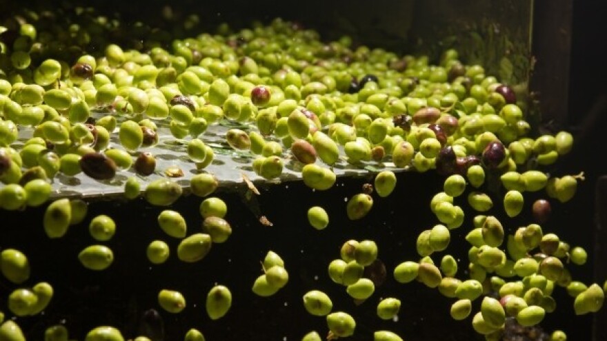 Maslinovo ulje i vino smiju se izvoziti u Rusiju