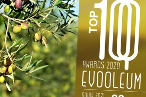 Proglašeno 100 najboljih ekstra djevičanskih maslinovih ulja na svijetu