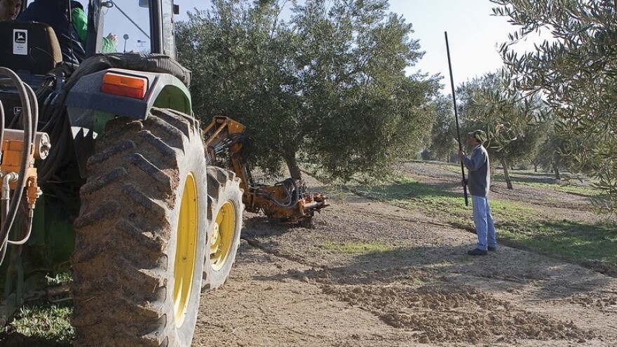 Poljoprivrednici Istre - prijavite štete!