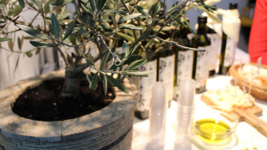 Maslinovom ulju iz Neuma titula najboljeg