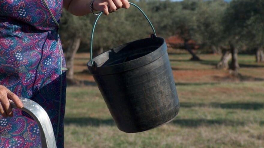 Ljubav i ženska ruka presudne za kvalitetu ulja