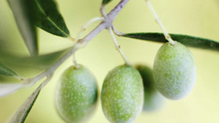 Nema straha od EU kvota