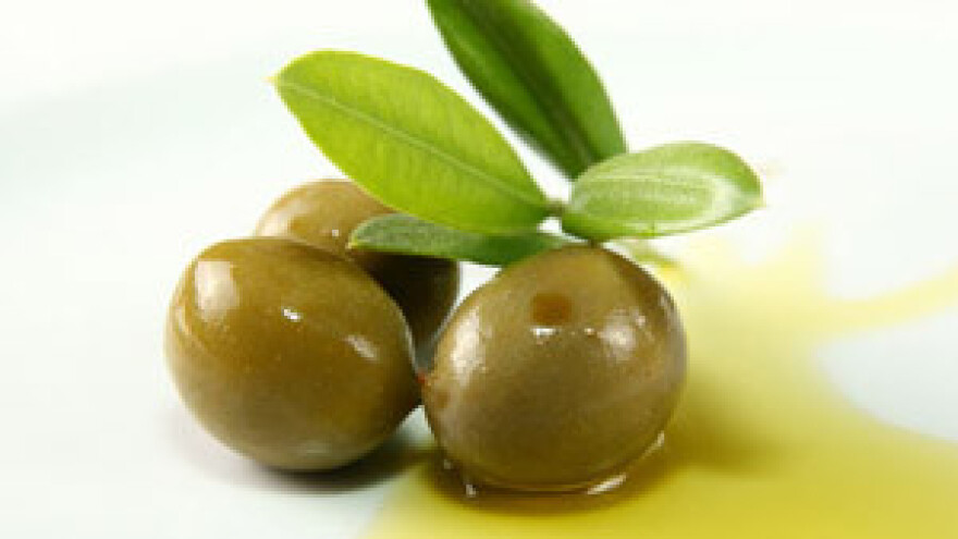 U Poličniku otvorena najmodernija uljara u Hrvatskoj