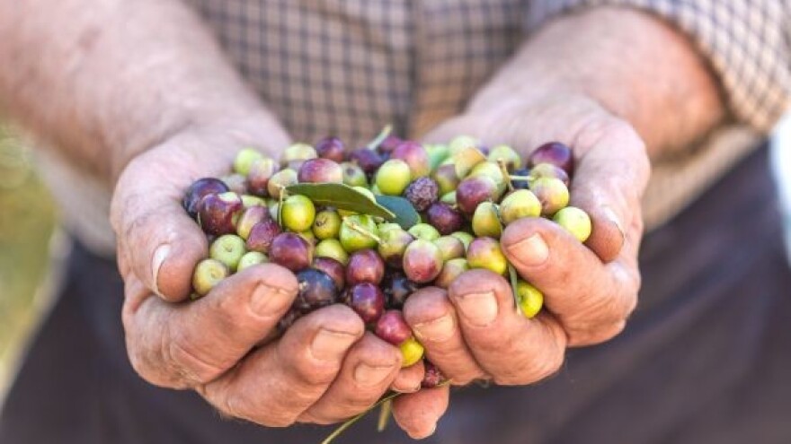 Još tri proizvoda uskoro izvorno hrvatska?