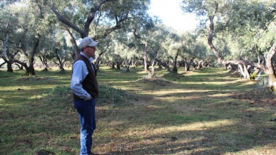 Zaštita oblice i levantinke od paunovog oka