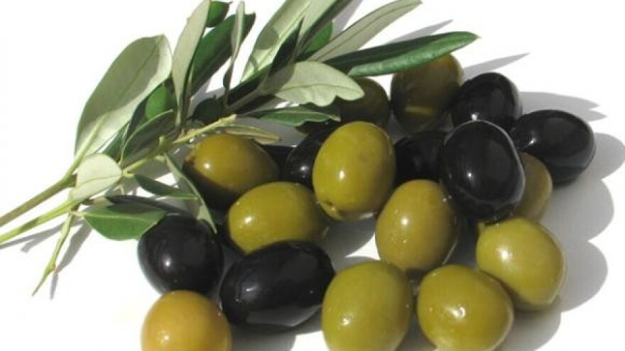 Održano predavanje za maslinare